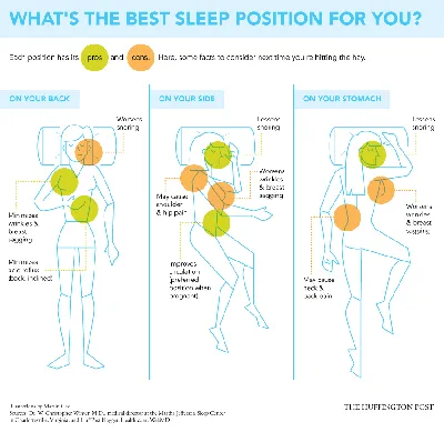 Зожник | В какой позе лучше всего спать: наука и сон