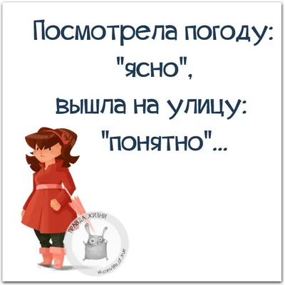 ПРАВДА ЖИЗНИ Рубрика продолжается! На очереди ИВОН, он так представился  мне. Листай карусель Пиши над чем посмеялся ты! | Instagram