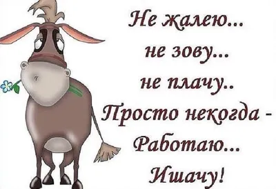 Правда жизни в десяти картинках. Узнаешь себя тут? | На злобу дня | Дзен