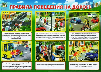 Правила безопасности на дороге_ | Василюк Юлия Сергеевна - купить с  доставкой по выгодным ценам в интернет-магазине OZON (250995854)