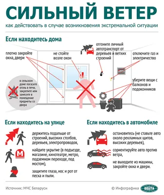 Иллюстрация 10 из 19 для Правила безопасности на дороге - Юлия Василюк |  Лабиринт - книги. Источник: Oksana