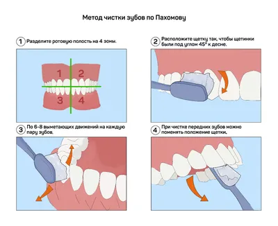 Алгоритм чистки зубов. Детский сад №40 г.Лиды