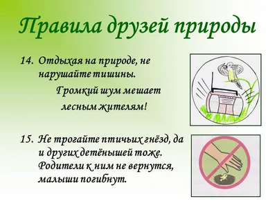 Разнообразный мир крымских насекомых#Дистанционное образование | Детский  сад №36 «Искорка»