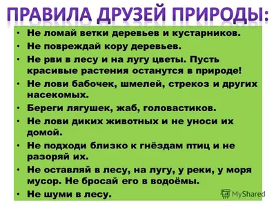 Будь человеку другом… – ЛЮБИТЬ ПОДРОСТКА