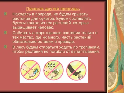 Правила обращения с ТКО на природе - Официальный сайт администрации  Абинского района