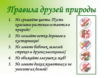 PPT - Будь природе другом! PowerPoint Presentation, free download -  ID:7102787