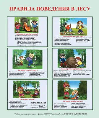 Книги о дружбе для детей | Издательство АСТ