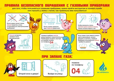 Основы безопасности жизнедеятельности человека