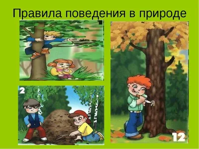 Чтобы не краснеть: 10 правил поведения в гостях, которым надо научить  малыша | Где мои дети | Дзен