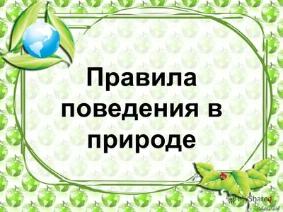 Здравствуйте, каникулы! » Православная Гимназия во имя Святого Иннокентия  митрополита Московского города Мирного