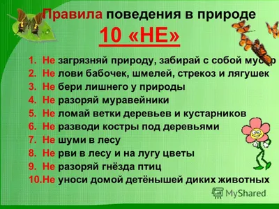 Правила поведения в природе. Стихи для детей — скачать и распечатать. Правила  поведения — Экология. «МААМ—картинки». Воспитателям детских садов, школьным  учителям и педагогам - Маам.ру