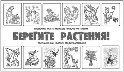 Правила поведения в лесу. Конспекты занятий. Воспитателям детских садов,  школьным учителям и педагогам - Маам.ру