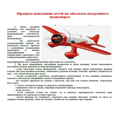 Эксперты напомнили о правилах поведения на борту самолета – Москва 24,  14.06.2022