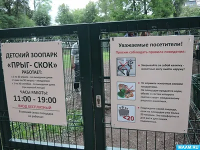 Конспект НОД в старшей группе Путешествие в зоопарк - \"Игры и Игрушки.  Эксперт\" №2-2018