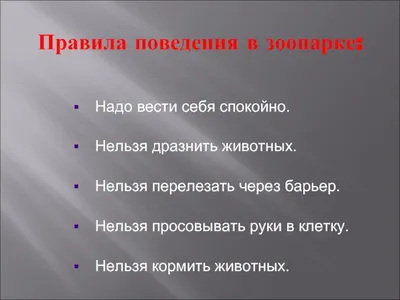 🚎Конспекты и игры по ПДД (ДОУ, начальная школа) - «Правила дорожные  соблюдать положено!»