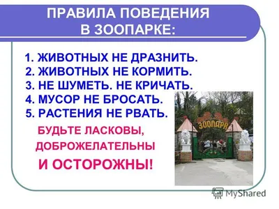 Памятка \"Безопасность детей при общении с животными\"