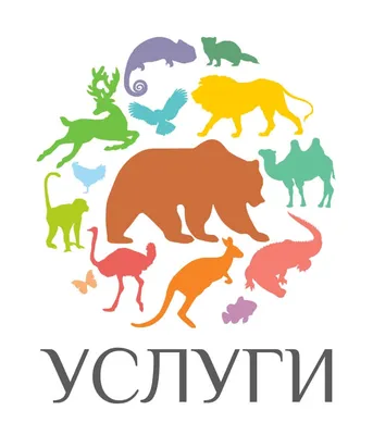 Экскурсия в зоопарк | Школьный портал Республики Мордовия