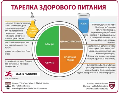 Tарелка Здорового Питания (Russian) | The Nutrition Source | Harvard T.H.  Chan School of Public Health