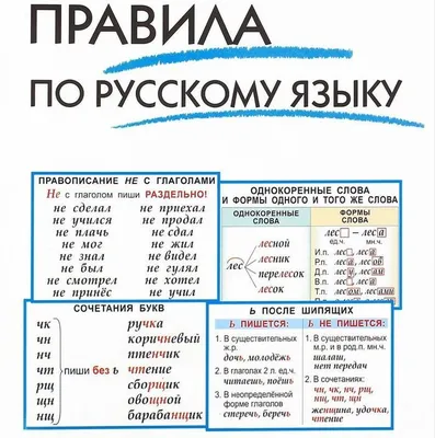 Игра обучающая Hatber Правила русского языка в картинках для 2-3 класса  купить по цене 191 ₽ в интернет-магазине Детский мир