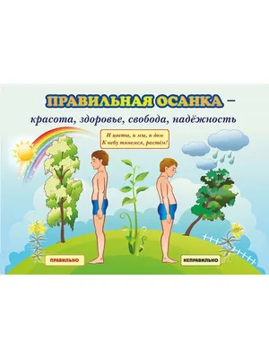 Правильная осанка — гарант здоровья ваших детей | Физрук на проводе | Дзен