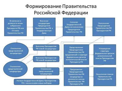 Новый состав правительства РФ - Инфографика ТАСС