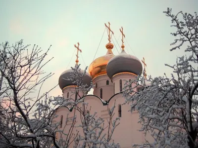 В Сочельник в южненском Свято-Введенском храме прошла праздничная литургия  (фото)