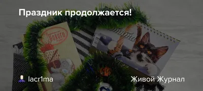 Алина Г. on X: \"@boroda2591 Спасибо, Саша! 🤗 С добрым утром! С чудесным,  новым зимним днём! Праздник продолжается!!! Здоровья Вам, сил, бодрости и  оптимизма! ❄️☃️❄️ https://t.co/7NxigEGvzR\" / X