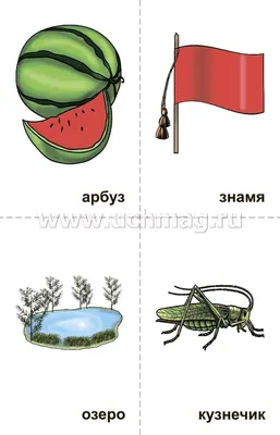 Картинки предметные (54 фото) » рисунки для срисовки на Газ-квас.ком