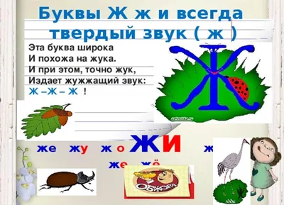 Конспект занятия по обучению грамоте в подготовительной группе по теме : \"Звук  ж, буквы Ж,ж\"