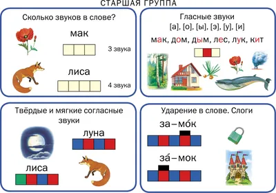 Конспект индивидуального логопедического занятия по автоматизации звука [Р]  (10 фото). Воспитателям детских садов, школьным учителям и педагогам -  Маам.ру