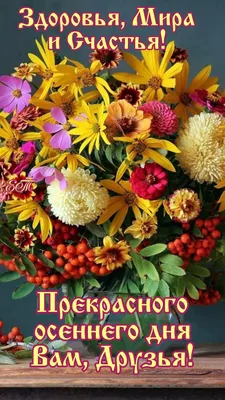 Прекрасного осеннего дня! 05.10.2022🌹🌹🌹💋💖 | Рождественские пейзажи,  Фотографии для мотивации, Осенние картинки