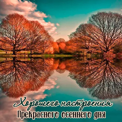 Доброе утро. Прекрасного осеннего дня в 2023 г | Доброе утро, Живописные  пейзажи, Мудрые цитаты