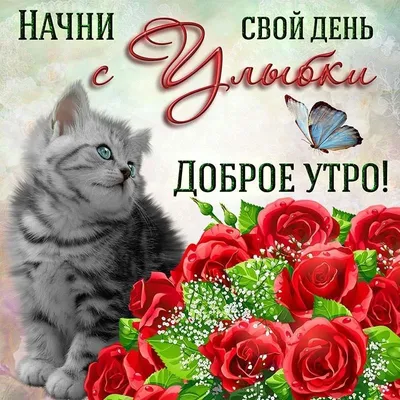 Прекрасного утра! | Красивые открытки и поздравления с праздниками |  ВКонтакте