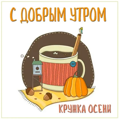 Красивые открытки \"Доброе утро!\" | Открытки, поздравления и рецепты | Дзен