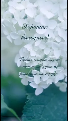 Всем приятных выходных, хорошего отдыха, хороших впечатлений! | Смешные  таблички, Позитивные цитаты, Вдохновляющие жизненные цитаты