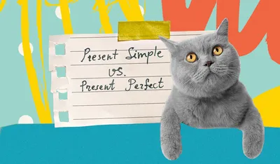 Present Simple vs. Present Perfect. Объясняем за 5 минут - Skyeng Magazine