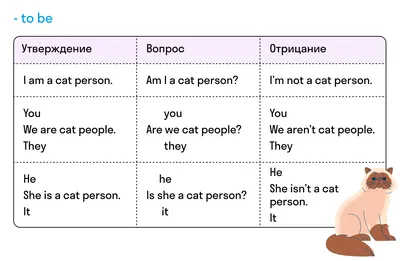 Present Simple: 5 правил, как объяснить его раз и навсегда