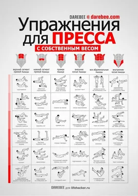 Как накачать пресс дома на турнике и не только | Блог valsport.ru