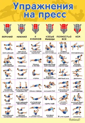 Девочки спортсменки,за сколько можно накачать пресс? - Советчица