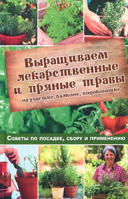 Как приготовить смесь прованских трав дома | Дачная кухня (Огород.ru)
