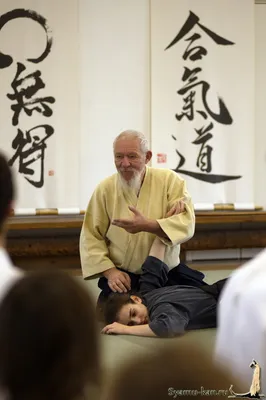 Наклейка на авто Айкидо - Aikido машину виниловая - матовая, глянцевая,  светоотражающая, магнитная, металлизированная