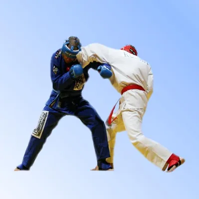 Taekwondo WTF. Техника ударов ногами. - YouTube