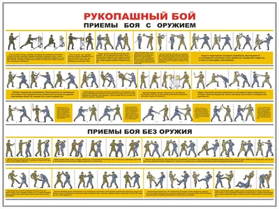 5 эффектных приемов из кикбоксинга для начинающих - Чемпионат