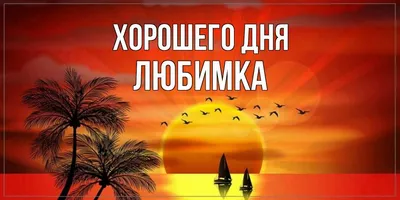 💌☀️😄 Картинки Хорошего дня - скачать (226 шт.)