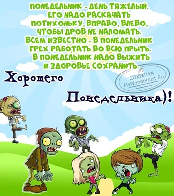 Всем приятного понедельника и плодотворной рабочей недели 🙏🏻 Сегодня у  нас поставка цветов 😉 совсем скоро выйдем в прямой эфир и все… | Instagram