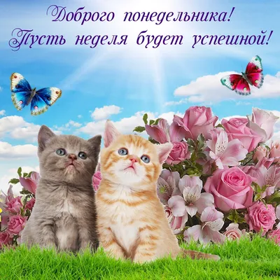 https://www.tiktok.com/@evdokiakarpova/video/7321565398975909122