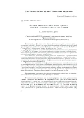 PDF) The ethnicization of immigration law (RUS) | Olga Gulina - Academia.edu