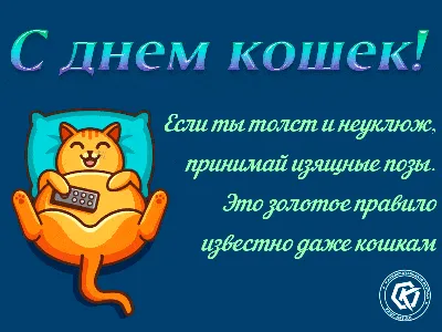 Картинки с вопросом : «Ты где?» (20 фото) скачать бесплатно