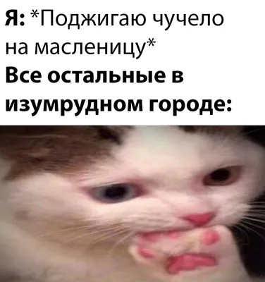 Наклейка на авто Прикольные надписи садись пристегнись заткнись держись ВАЗ  автомобиль машина - купить по выгодным ценам в интернет-магазине OZON  (712841097)