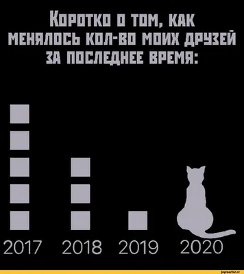 Ресторан по понятиям (сериал, 1-3 сезоны, все серии), 2021 — описание,  интересные факты — Кинопоиск